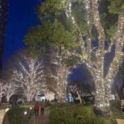 ヒメ日記 2025/12/21 08:25 投稿 のぞみ 横浜おかあさん