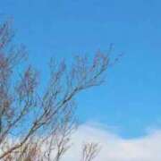 のぞみ おはようございます。 横浜おかあさん