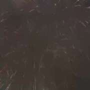 こん 夏をおすそ分け(*´˘`*)♥ One More 奥様　西船橋店