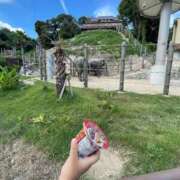 ヒメ日記 2025/08/31 10:22 投稿 みん 佐賀人妻デリヘル 「デリ夫人」