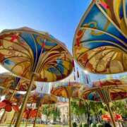 ヒメ日記 2026/02/10 11:00 投稿 みん 佐賀人妻デリヘル 「デリ夫人」