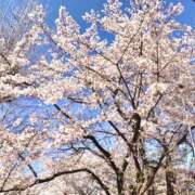 ヒメ日記 2026/04/02 14:11 投稿 わか 東京リップ 立川店