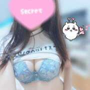 ヒメ日記 2025/11/25 16:20 投稿 みほ【電マ常備変態美女】 STELLA TOKYO－ステラトウキョウ－