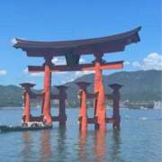 朝岡陽子 出勤してます 五十路マダム　広島店