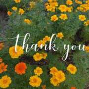 ヒメ日記 2026/04/16 19:22 投稿 朝岡陽子 五十路マダム　広島店