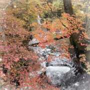 ヒメ日記 2025/09/26 19:20 投稿 かれな 奥様特急　池袋・大塚店