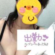 ヒメ日記 2025/08/18 16:30 投稿 りん 熊本しこたまクリニック