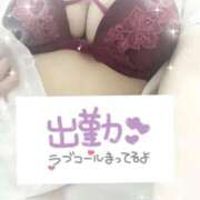 ヒメ日記 2025/11/20 09:00 投稿 りん 熊本しこたまクリニック