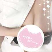 ヒメ日記 2026/01/28 09:40 投稿 りん 熊本しこたまクリニック