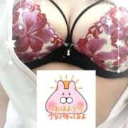 ヒメ日記 2026/04/10 10:23 投稿 りん 熊本しこたまクリニック（アクセスグループ）