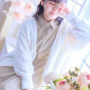 ヒメ日記 2025/06/18 18:00 投稿 かりん やんちゃな子猫日本橋本店