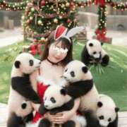 ヒメ日記 2025/12/25 12:00 投稿 桐生ゆい セクシーキャット 神田店