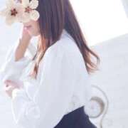 ヒメ日記 2026/03/31 13:30 投稿 桐生ゆい セクシーキャット 神田店