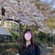 ヒメ日記 2026/04/02 13:30 投稿 桐生ゆい セクシーキャット 神田店