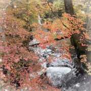 ヒメ日記 2025/09/26 19:25 投稿 かれな 奥様特急　上野・鶯谷店