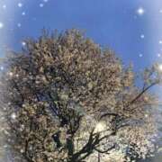 ヒメ日記 2026/03/19 20:02 投稿 かれな 奥様特急　上野・鶯谷店