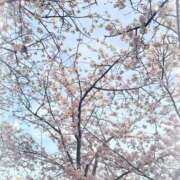 ヒメ日記 2026/04/10 17:52 投稿 かれな 奥様特急　上野・鶯谷店