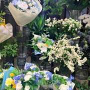 ヒメ日記 2026/08/14 17:02 投稿 かれな 奥様特急　上野・鶯谷店