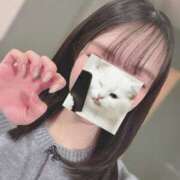 ヒメ日記 2026/02/13 14:45 投稿 白石れむ 川崎小町（川崎ハレ系）