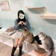 ヒメ日記 2026/02/21 15:17 投稿 白石れむ 川崎小町（川崎ハレ系）