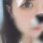 ヒメ日記 2026/04/21 12:34 投稿 わかな 渋谷角海老