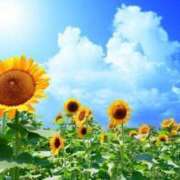 ヒメ日記 2025/07/18 09:01 投稿 のぞみ 池袋おかあさん