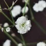 ヒメ日記 2025/10/28 16:14 投稿 のぞみ 池袋おかあさん