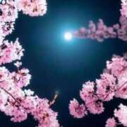 ヒメ日記 2026/04/01 10:54 投稿 のぞみ 池袋おかあさん