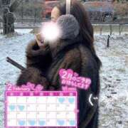 ヒメ日記 2026/01/29 19:04 投稿 かれな 奥様特急　立川店