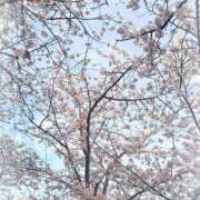 ヒメ日記 2026/04/10 17:34 投稿 かれな 奥様特急　立川店