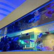 ヒメ日記 2025/06/29 18:49 投稿 風鈴さつき LIP×LIP滋賀