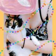 ヒメ日記 2025/07/15 14:42 投稿 火野（ひの） 熟女の風俗最終章 名古屋店