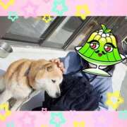 ヒメ日記 2026/03/24 17:32 投稿 火野（ひの） 熟女の風俗最終章 名古屋店