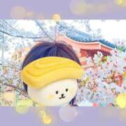 ヒメ日記 2026/04/05 15:52 投稿 火野（ひの） 熟女の風俗最終章 名古屋店