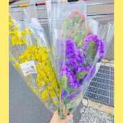 ヒメ日記 2026/06/15 19:32 投稿 火野（ひの） 熟女の風俗最終章 名古屋店