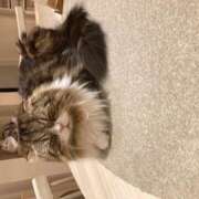 ヒメ日記 2025/06/26 22:53 投稿 東野 MadameRest(マダムレスト)