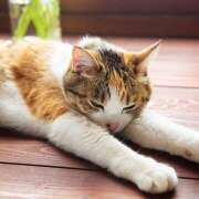 ヒメ日記 2025/06/29 11:55 投稿 東野 MadameRest(マダムレスト)