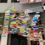 ヒメ日記 2025/07/07 09:57 投稿 東野 MadameRest(マダムレスト)