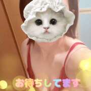 ヒメ日記 2025/07/21 11:10 投稿 東野 MadameRest(マダムレスト)