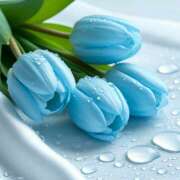 ヒメ日記 2025/07/21 21:37 投稿 東野 MadameRest(マダムレスト)