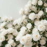 ヒメ日記 2025/07/25 00:16 投稿 東野 MadameRest(マダムレスト)