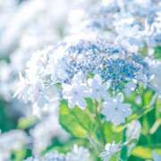 ヒメ日記 2025/08/25 22:22 投稿 東野 MadameRest(マダムレスト)