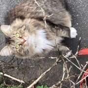 ヒメ日記 2025/09/06 17:45 投稿 東野 MadameRest(マダムレスト)