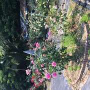 ヒメ日記 2025/09/08 00:09 投稿 東野 MadameRest(マダムレスト)