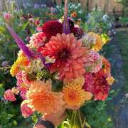 ヒメ日記 2025/09/14 23:40 投稿 東野 MadameRest(マダムレスト)