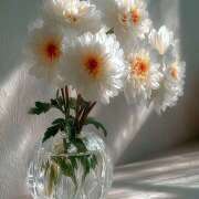 ヒメ日記 2025/09/29 09:36 投稿 東野 MadameRest(マダムレスト)