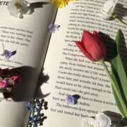 ヒメ日記 2025/10/02 10:38 投稿 東野 MadameRest(マダムレスト)