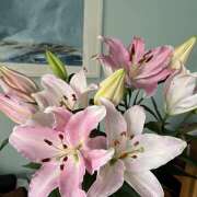 ヒメ日記 2025/10/07 11:59 投稿 東野 MadameRest(マダムレスト)