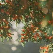 ヒメ日記 2025/10/12 11:59 投稿 東野 MadameRest(マダムレスト)