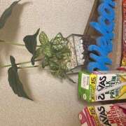 ヒメ日記 2025/10/17 23:03 投稿 東野 MadameRest(マダムレスト)